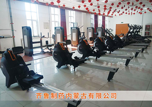 锐强体育为​齐鲁制药内蒙古分乐玩体育-乐玩|乐玩官方网站打造健身房